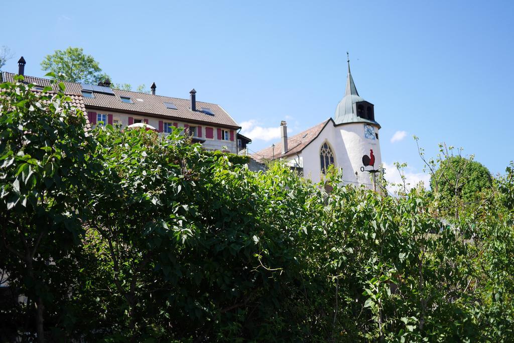 Auberge Aux Deux Sapins Montricher Стая снимка
